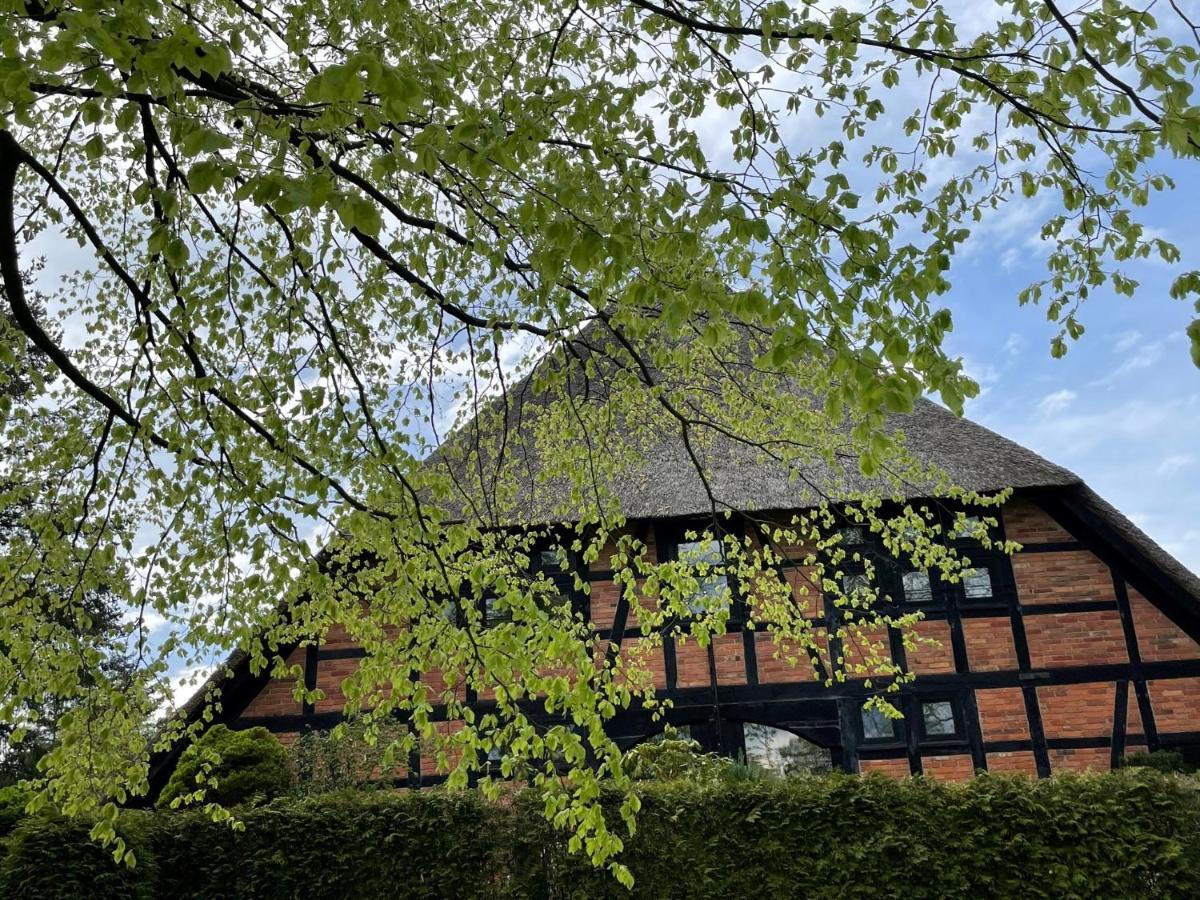 Ferienwohnung St. Dionyser Heidedorf Sankt Dionys Exterior foto